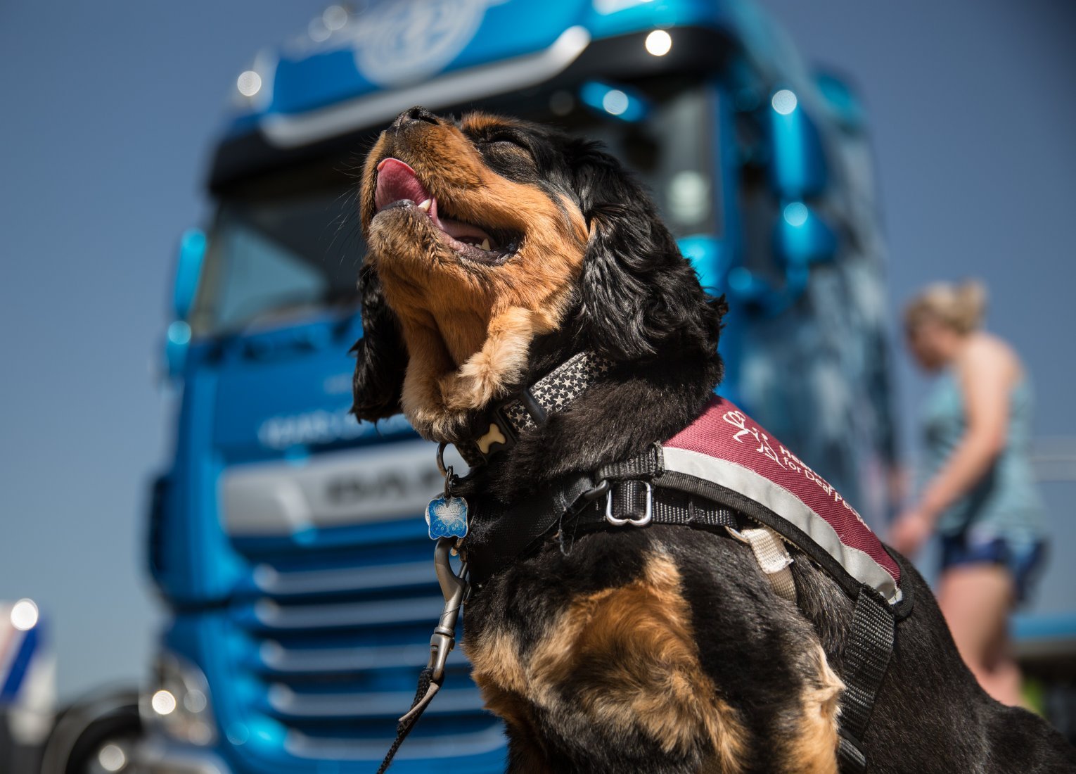 DAF Trucks Raise Money For Charity Hearing Dogs For The Deaf
